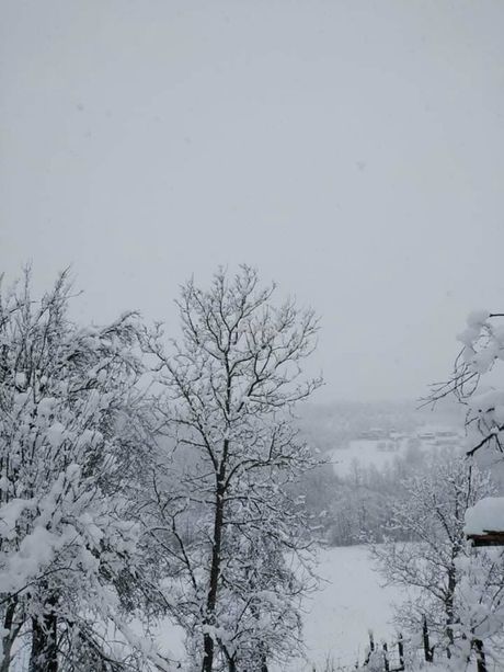Gojna Gora, Suvobor, sneg