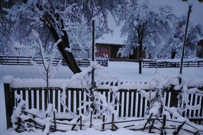 Gojna Gora, Suvobor, sneg Gojna Gora, Suvobor, sneg