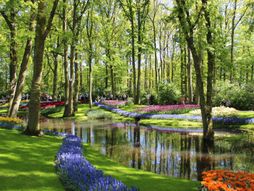 Keukenhof