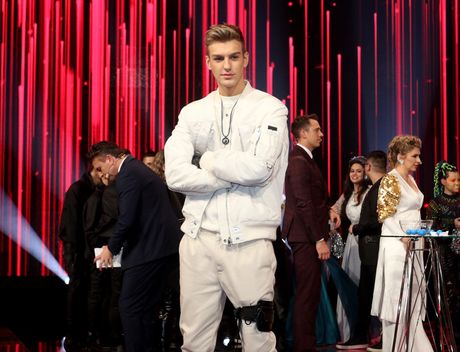 Beovizija, Beosong Beovizija, Beosong