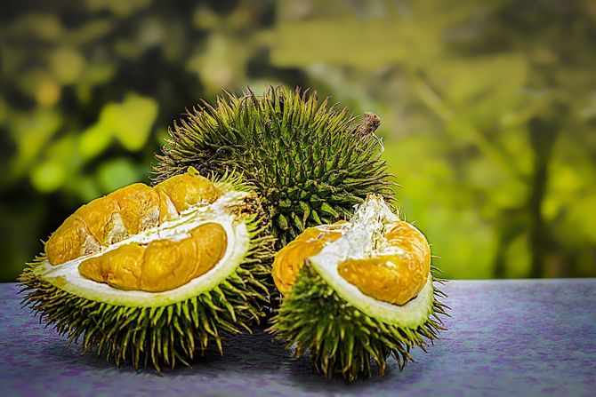Durijan, Voće, Durian Fruit Durijan, Voće, Durian Fruit
