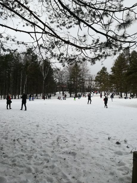Divčibare, Maljen Divčibare, Maljen