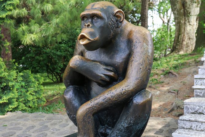 Najpoznatiji Begunci Iz Beo Zoo Vrta Paunovi Pobegli Da Traze Zenke Sami Se Odmetnuo Dva Puta Telegraf Rs