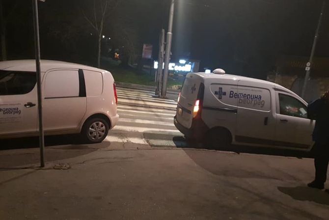 Trovanje pasa na Kalemegdanu