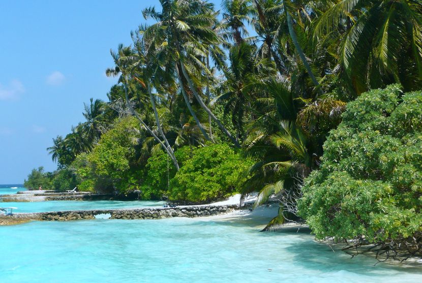 maldivi-830x0.jpg