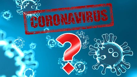 Koronavirus, upitnik