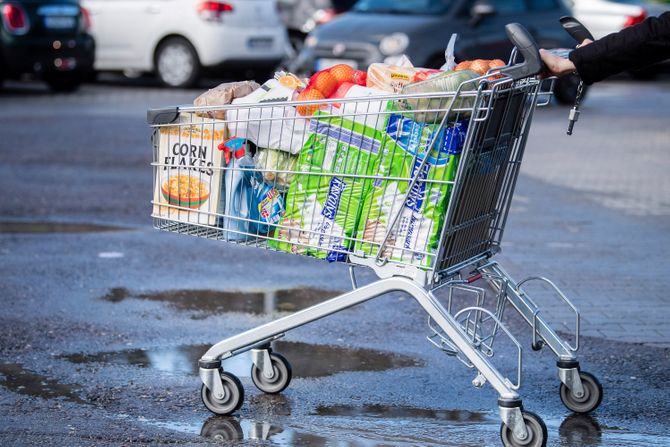 Prodavnica, supermarket, kolica