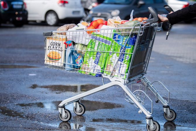 Prodavnica, supermarket, kolica Prodavnica, supermarket, kolica