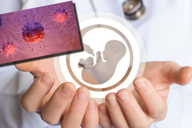 korona virus, koronavirus, vantelesna oplodnja, Spermatozoidi, Sperma, Veštačka oplodnja, vantelesna oplodnja, Beba iz epruvete, Začeće, oplodnja korona virus, koronavirus, vantelesna oplodnja, Spermatozoidi, Sperma, Veštačka oplodnja, vantelesna oplodnja, Beba iz epruvete, Začeće, oplodnja