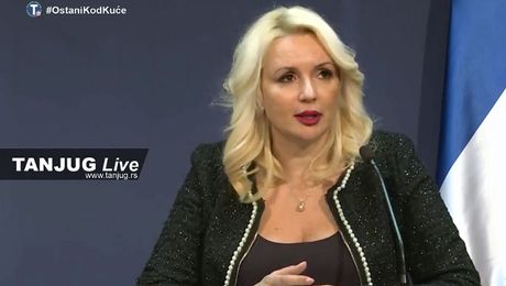 Darija Tepavčević Kisić, , Konferencija kotronavirus srbija