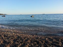 Sutomore