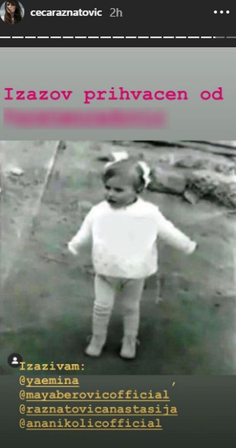 Ceca Ražnatović Ceca Ražnatović