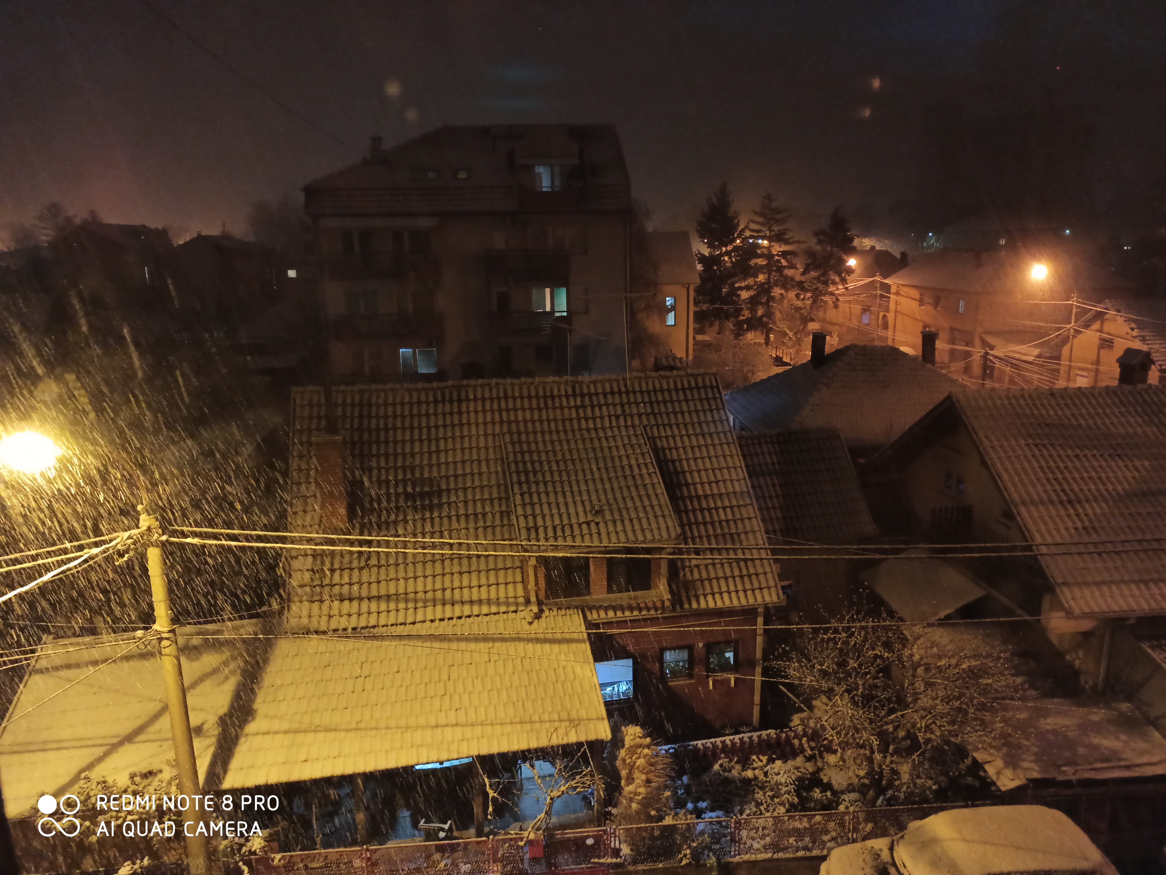 Jagodina sneg