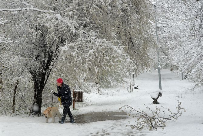 BEOGRAD SNEG BAJFORDOVA SUMA