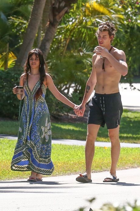 Camila Cabello, Shawn Mendes. Camila Cabello, Shawn Mendes.