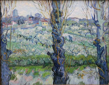Vincent Van Gogh Vincent Van Gogh
