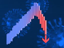 Berza, pad berze, korona virus