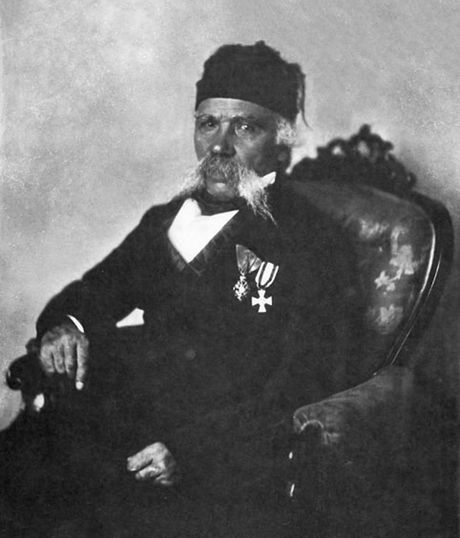 Anastas Jovanović, Vuk Karadžić