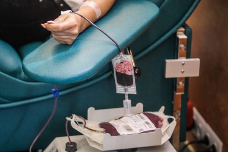Transfuzija krvi, davanje krvi
