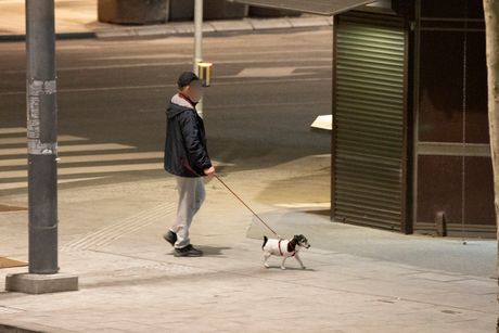 Setnja pasa, policijski cas Setnja pasa, policijski cas
