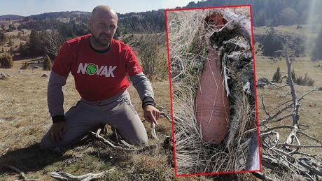Neekspolodirana bomba, Aleksandar Babic Neekspolodirana bomba, Aleksandar Babic