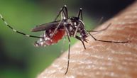 Novi slučajevi obolevanja od virusa koji prenosi komarac