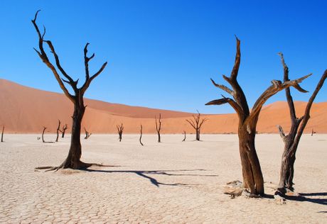 pustinja namib pustinja namib