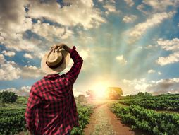 zalazak sunca, polje livada, nebo oblaci