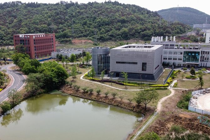 The Wuhan Institute of Virology, Institut za virusologiju u Vuhanu