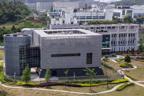 The Wuhan Institute of Virology, Institut za virusologiju u Vuhanu