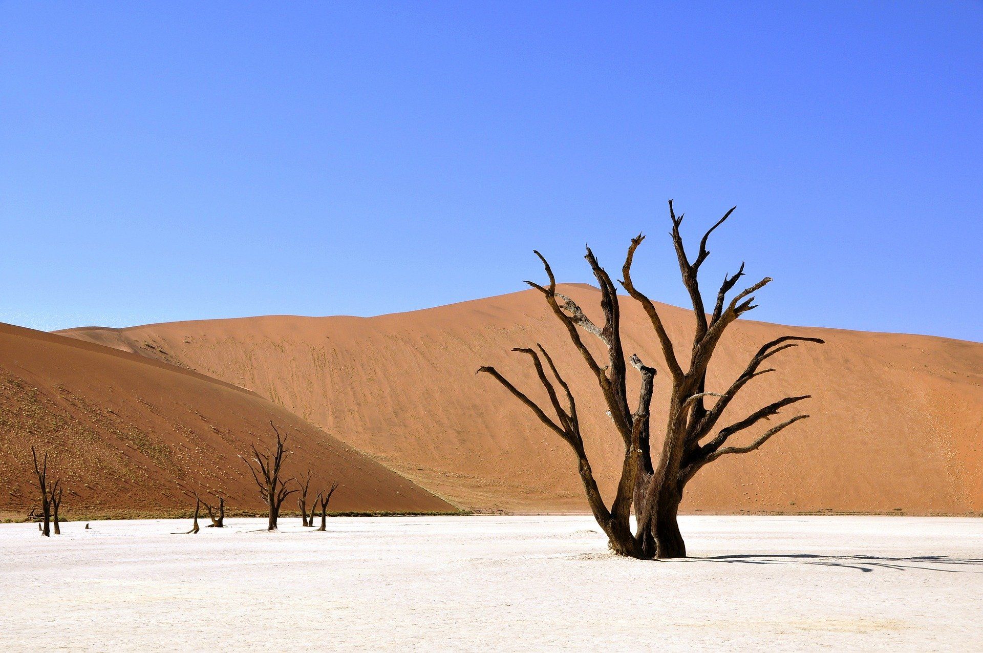 Namibija