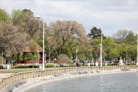 Palićko jezero Palićko jezero