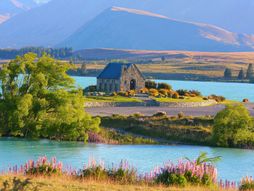 Novi Zeland