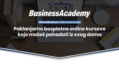 Link group, bussines academy