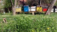"Srbi nebeski narod": Čovek usred pčelinjaka napravio crkvu, komentari na mrežama pljušte