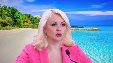 Plaža, Darija Kisić Tepavčevcić Plaža, Darija Kisić Tepavčevcić