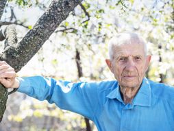 Deda, drvo, selo, stariji čovek