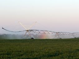 SRBIJA POLJOPRIVREDA SUSA 