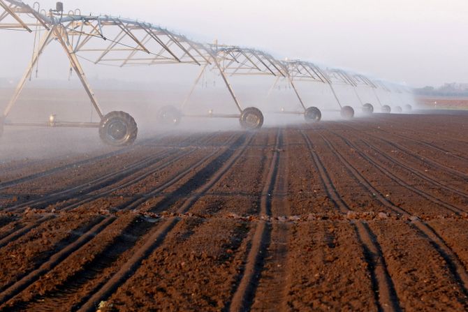Klimatske promene i ishrana: Globalna dijeta mogućnost za spas planete? - Vimarsana News