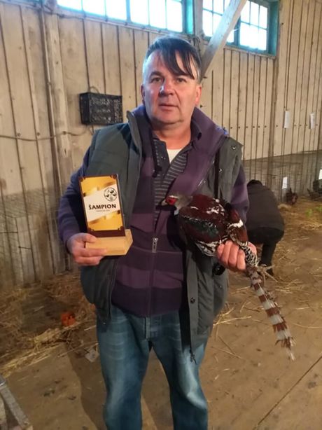 Dragan Lukić Dragan Lukić