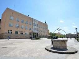 NEGOTIN GRAD VSTANJE ULICE NEGOTINA DANAS