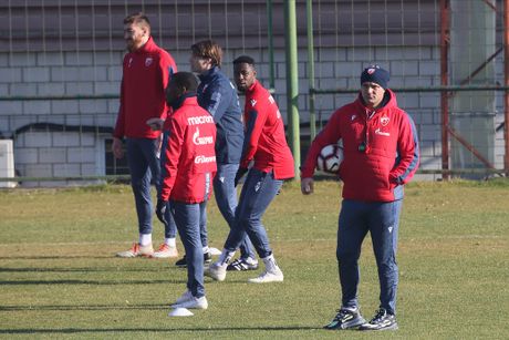 FK Crvena zvezda, trening
