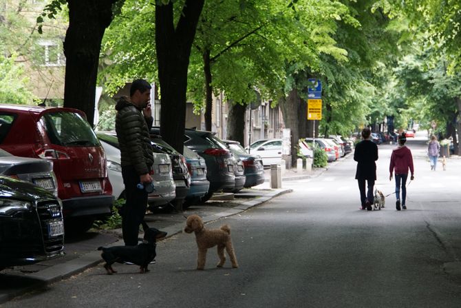 LJUBIMCI MERE POLICIJSKI ČAS ŠETNJA PASA