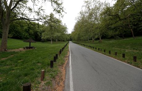 Košutnjak, park, Beograd, prazno, prvi maj Košutnjak, park, Beograd, prazno, prvi maj