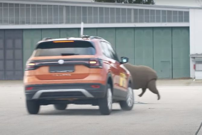 Test kočenja, svinja Test kočenja, svinja