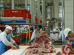 Klanica meso fabrika