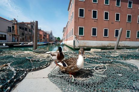 Venecija, Italija Venecija, Italija