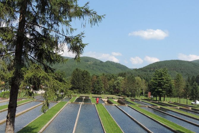 RIBOLOV KRKOBABIĆ SELO PASTRMSKI RIBNJAK