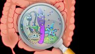 Bakterije detektuju tumorsku DNK