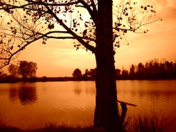 Belocrkvanska jezera